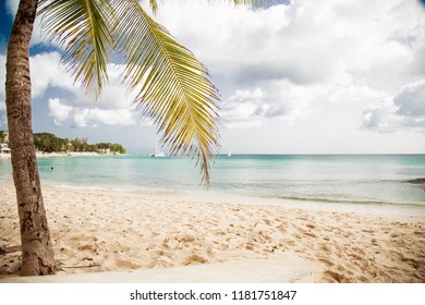 Sandy Lane Beach Barbados