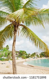 Sandy Lane Beach Barbados