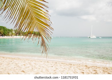 Sandy Lane Beach Barbados