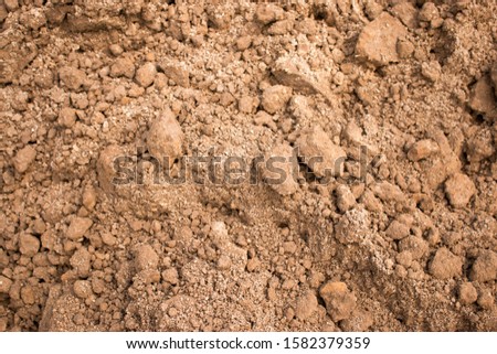 Sandy loam soil background. Crumbly soil abstract background texture for pattern, graphic design, print, abstract web design backgrounds, wallpaper or banner template