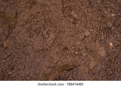 Sandy Loam - Soil Background, Texture