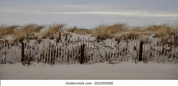 Sandy Neck Dunes, Cape Cod