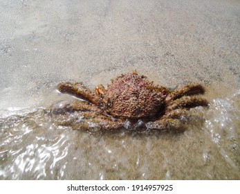 Sandy Ocean Floor After Low Tide