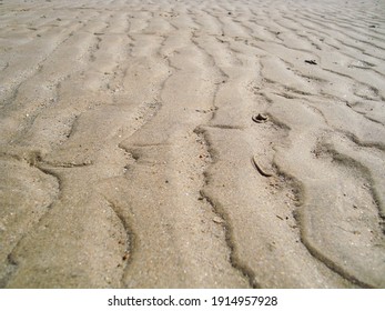 Sandy Ocean Floor After Low Tide