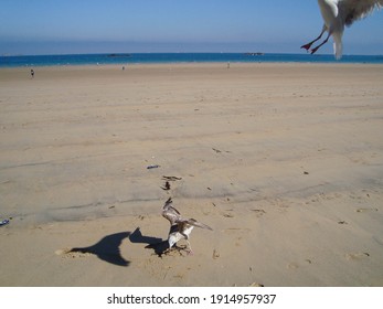 Sandy Ocean Floor After Low Tide