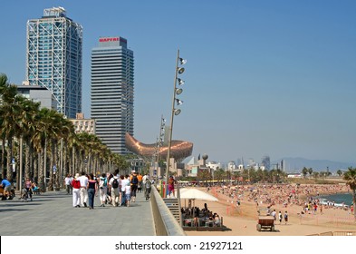 Sandy, palm-fringed beach at Barcelona's Port Olympic