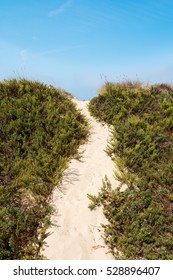 Sandy path.
