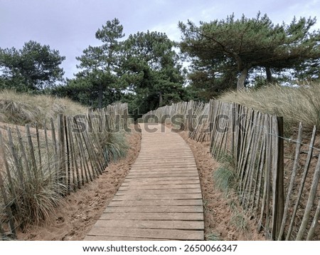 A sandy path to the beach 