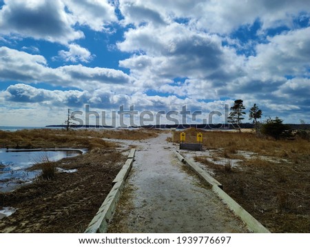 A sandy path to the beach outlined with large planks of wood. To the side of the trail are sand dunes, swamp, or marshes. In the distance is the ocean and a few lone pine trees in Nova Scotia, Canada.
