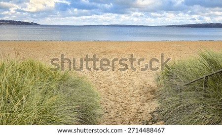 A sandy path between tall dune grass leading onto an empty beach and calm sea under a cloudy sky on a cool off-season day. Wide coastal landscape with copy space, symbolizing escape, solitude, nature.