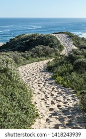sandy path going to the ocean