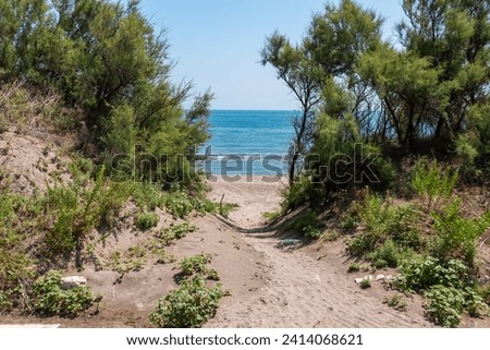 Sandy path leading to beach on the island of Pellestrina with panoramic view of Venetian Lagoon in Venice, Venetian Lagoon, Veneto, Italy. Trees on either side. Tranquil atmosphere in summer. Vacation Foto stock © 