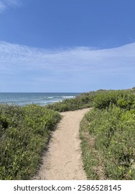 Sandy path leads to the ocean