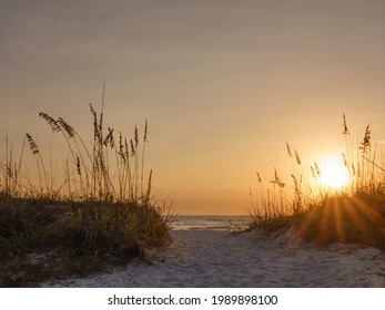 Sandy path with many footprints between dunes with sea oats (binomial name: Uniola paniculata) on a barrier island along the Gulf Coast in west central Florida, with sunbeams near sunset in October