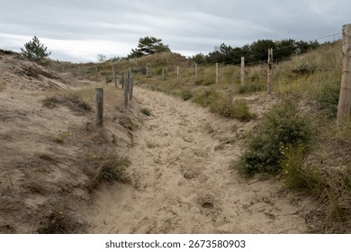 Sandy path meandering through dunes, bordered by a weathered wooden fence and sparse vegetation, under a cloudy sky