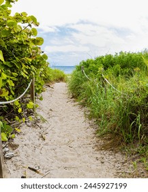 Sandy Path Over Grass Covered Sand Dunes Leading to Green Street Beach, Hollywood, Florida, USA