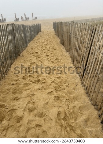 Sandy path through beach dunes on a foggy morning with loungers in the distance, Montauk, New York

