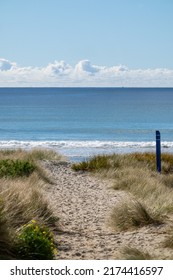 Sandy Path Through Dunes To Ocean Beach At Mount Maunganui, New Zealand.