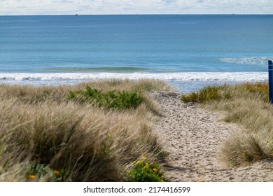 Sandy Path Through Dunes To Ocean Beach At Mount Maunganui, New Zealand.