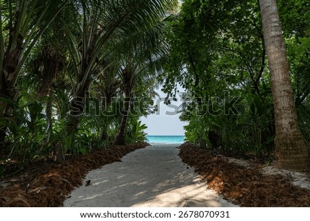 Sandy pathway through dense tropical greenery opening to a turquoise beach view. Exotic island atmosphere with vibrant foliage and calm ocean.
