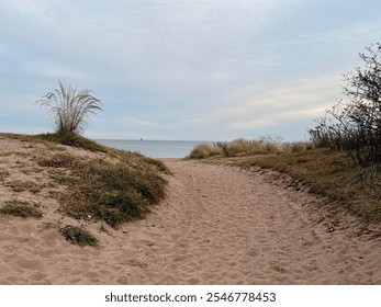 Sandy pathway through grassy dunes leading to a calm sea under a cloudy sky, evoking a peaceful seaside atmosphere - Powered by Shutterstock