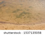 Sandy river bank. River beach. Close-up