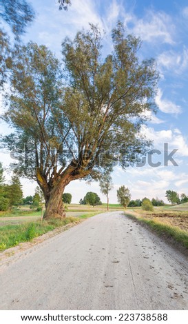 Similar – Image, Stock Photo Willow, trees, fields, blue sky & clouds