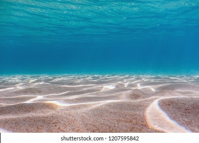 Sandy Sea Bottom Underwater Background