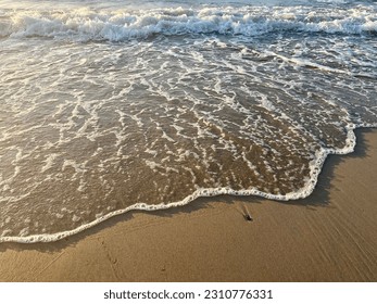 Sandy sea coast, sea sand, seashore background - Shutterstock ID 2310776331