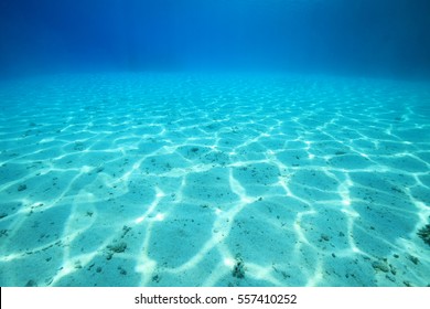 Sea Floor Images Stock Photos Vectors Shutterstock