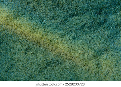 Sandy seabed with sun glare reflecting on the sand, soft focus, Aegean Sea, Greece, Halkidiki, Pirgos beach - Powered by Shutterstock