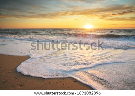 Sandy seashore at sunset. Nature landscape.