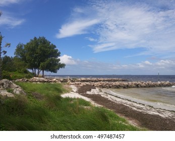 Sandy Shore