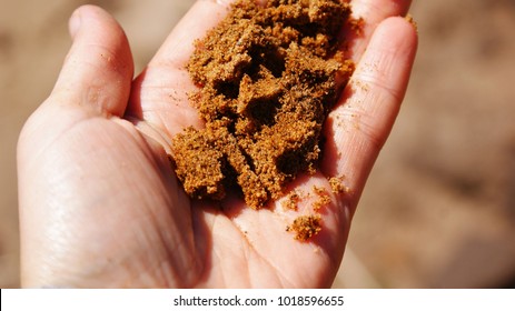 Sandy Soil On Hand