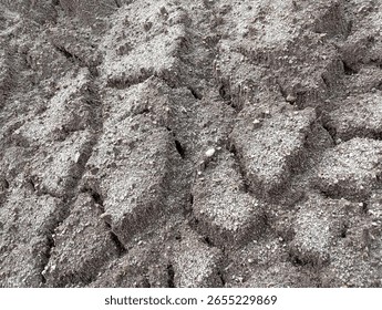Sandy soil texture is loose, gritty, and drains quickly. Common in dry areas, it's ideal for certain crops but needs organic matter to retain moisture and nutrients