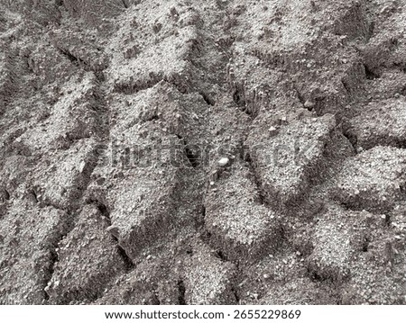 Sandy soil texture is loose, gritty, and drains quickly. Common in dry areas, it's ideal for certain crops but needs organic matter to retain moisture and nutrients
