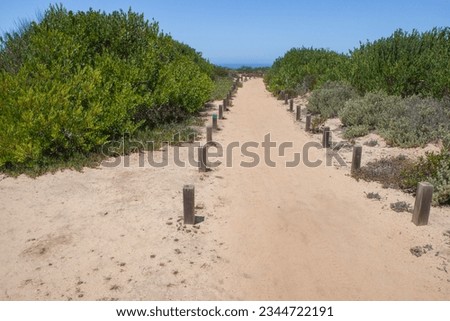 Similar – Image, Stock Photo Verdant coastline on São Tomé’s east coast