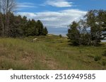 A sandy trail, leading over a grassy sand dune to Lake Michigan, in Kohler Andrae State Park, Sheboygan, Wisconsin, USA