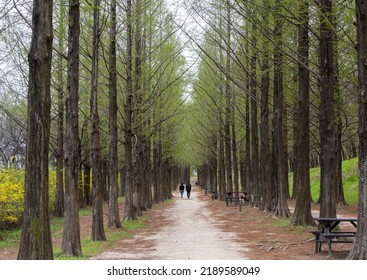 Sangamdong Mapogu Seoul South Korea April Stock Photo 2189589049 ...