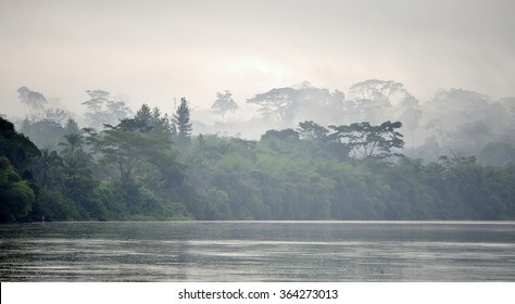 Sangha River. Morning fog on the African river Sangha. Congo.