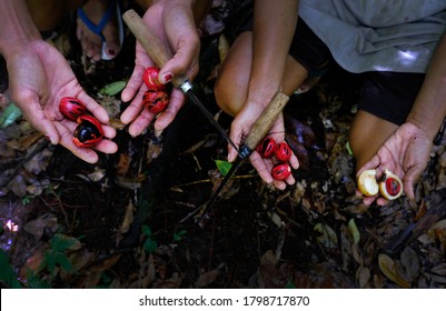 Sangihe Islands Images Stock Photos Vectors Shutterstock