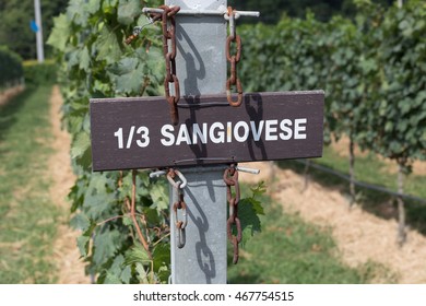 Sangiovese Label In Granmonte Vineyard