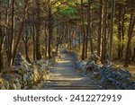 Sangju City, South Korea - November 18th, 2023: As dusk approaches, the winding hiking path leading down from Gyeongcheondae Observatory is bathed in soft light.