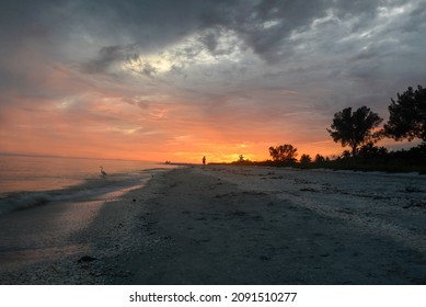 Sanibel Island During The Sunset