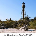 Sanibel Island, Florida Lighthouse and driftwood