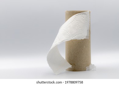 Sanitary and household, Used one single of toilet paper roll on white background, Empty brown tissue paper core with free copy space.