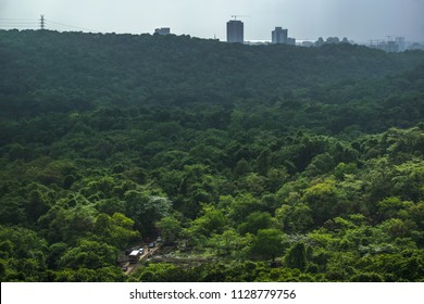 Sanjay Gandhi National Park, Borivalli