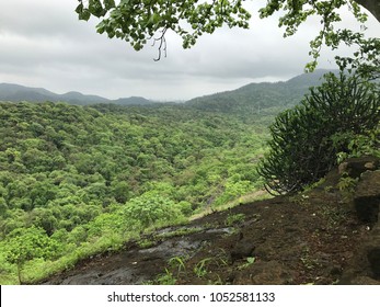 Sanjay Gandhi National Park, Mumbai