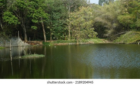 Sankey Tank, Bangalore, Karnataka, India - February 13 2022 : Beautiful Natural Scenery Of Sankey Tank Lake Park Bangalore. Tourist Places In Karnataka India.