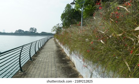 Sankey Tank, Bangalore, Karnataka, India - February 13 2022 : Beautiful Natural Scenery Of Sankey Tank Lake Park Bangalore. Tourist Places In Karnataka India.